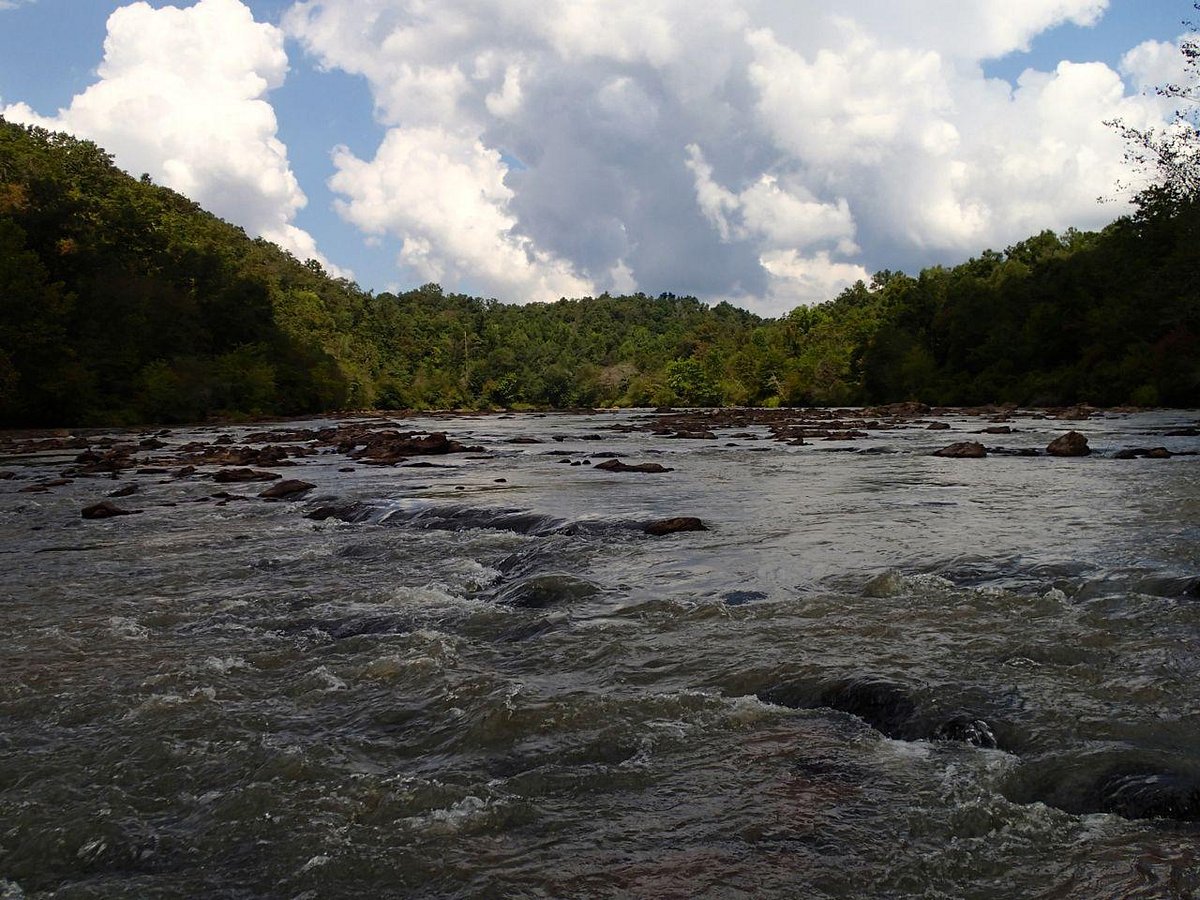 Hidden-River-Shoals-Of-Georgia8217s-Broad-River hidden-river-shoals-of-georgias-broad-river