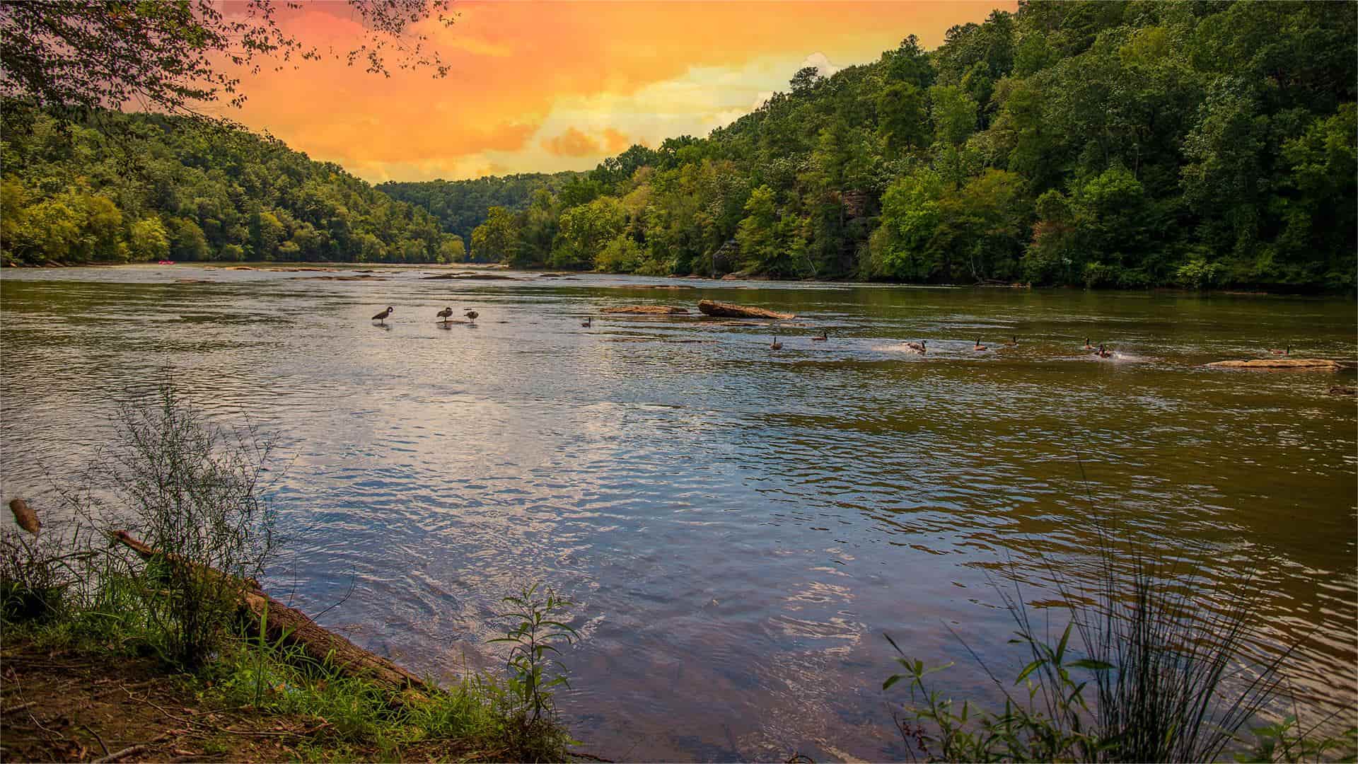 Hidden-River-Shoals-Of-Georgia8217s-Chattahoochee hidden-river-shoals-of-georgias-chattahoochee