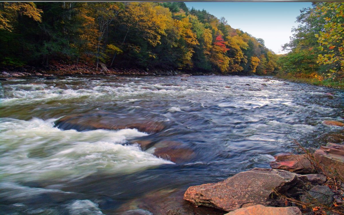 hidden-rivers-of-pennsylvanias-loyalsock-forest