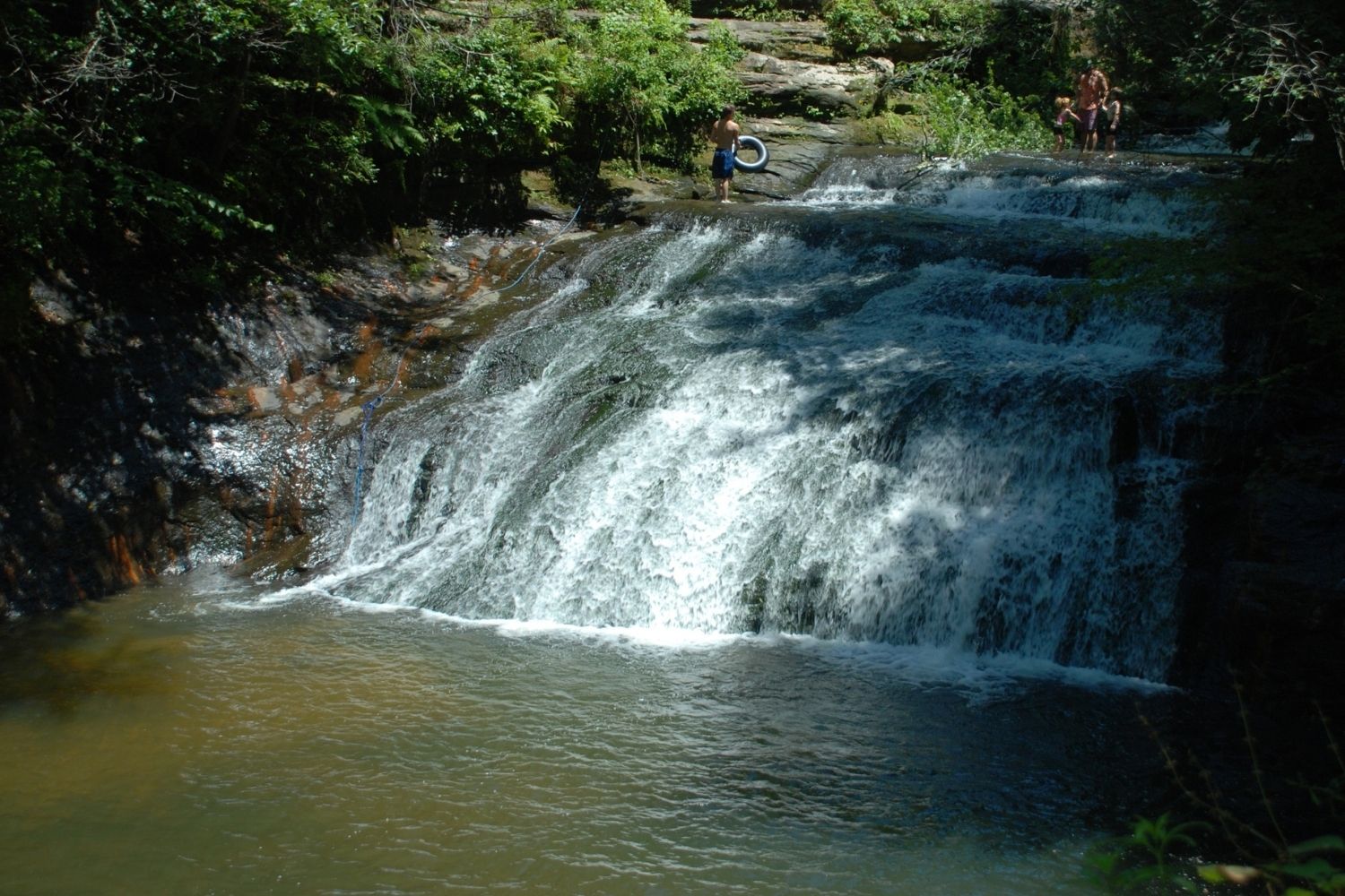 Hidden-Springs-Of-Alabama8217s-Bankhead-Forest hidden-springs-of-alabamas-bankhead-forest