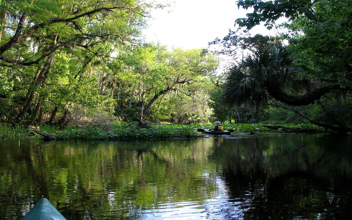 hidden-springs-of-floridas-wekiwa-forest