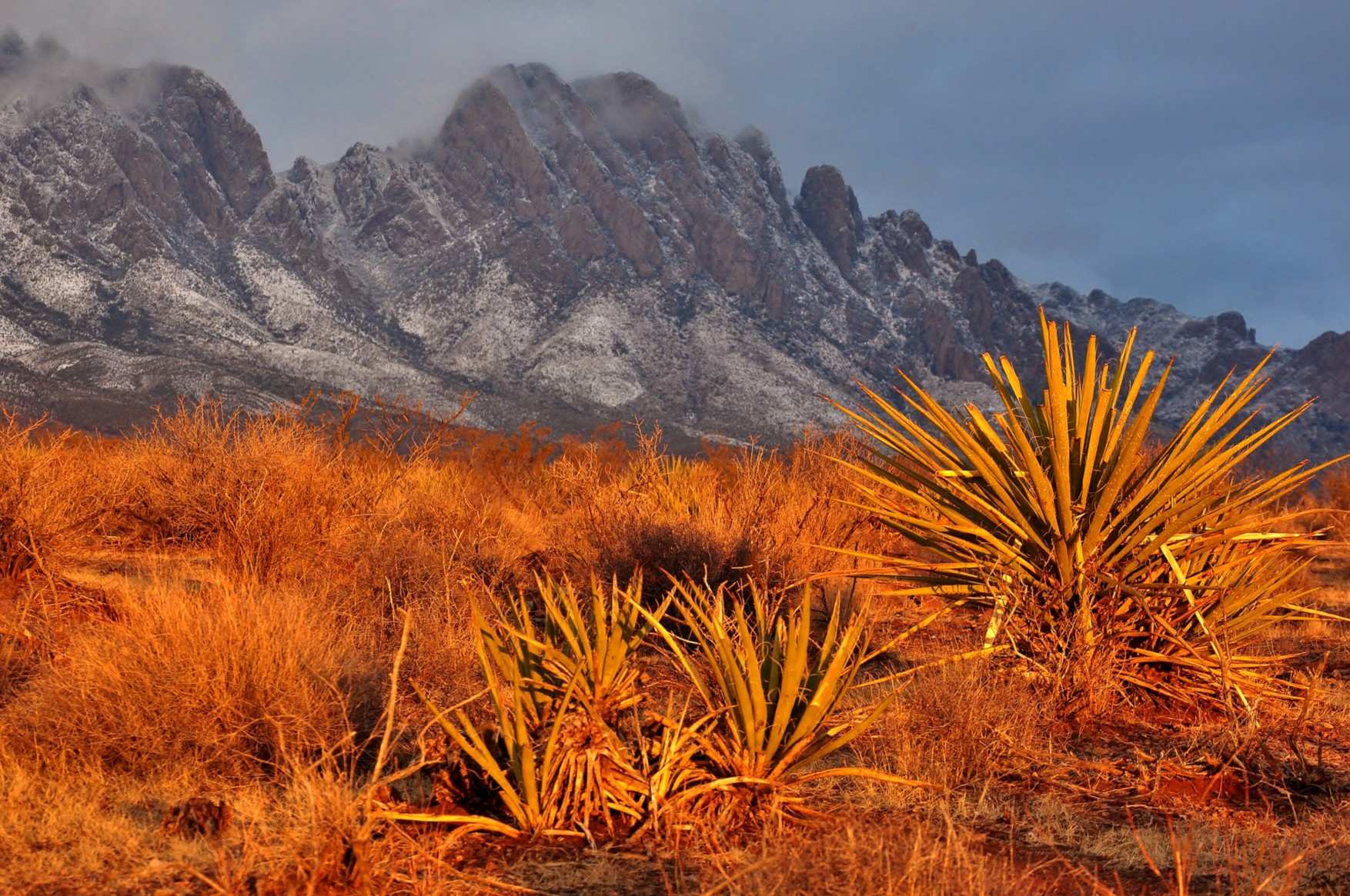 hidden-springs-of-new-mexicos-organ-mountains