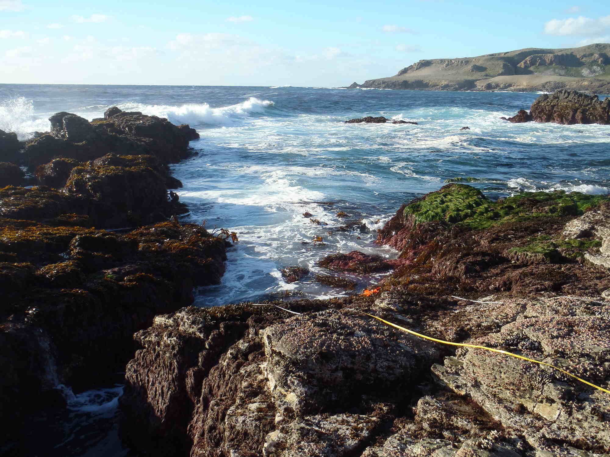 Hidden-Tidal-Pools-Of-California8217s-Channel-Islands hidden-tidal-pools-of-californias-channel-islands
