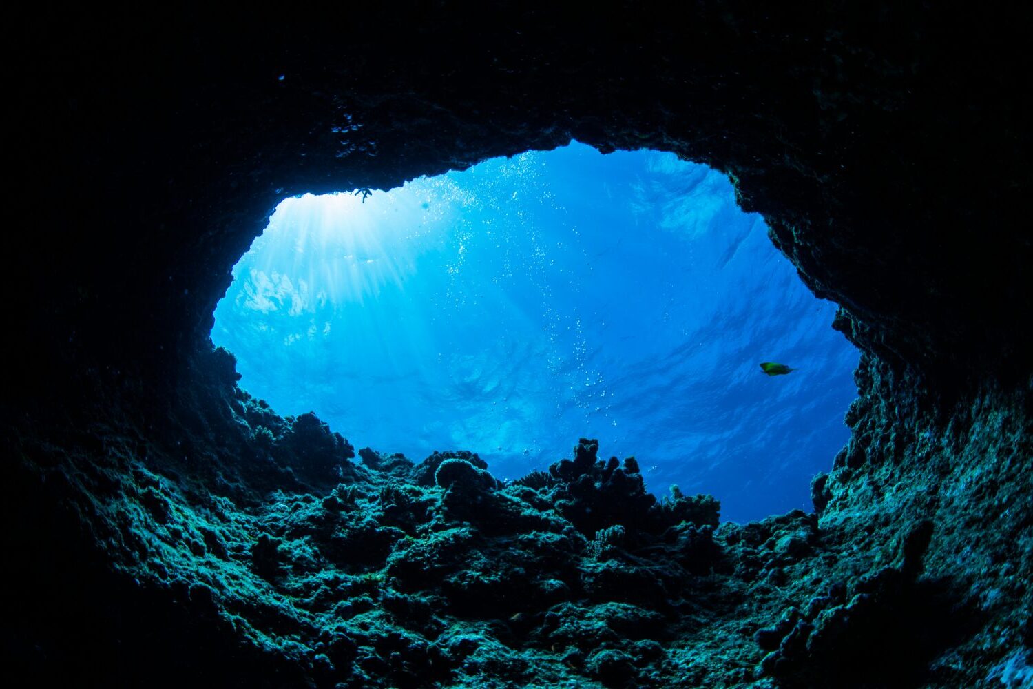 hidden-underwater-caverns-of-floridas-ginnie-springs