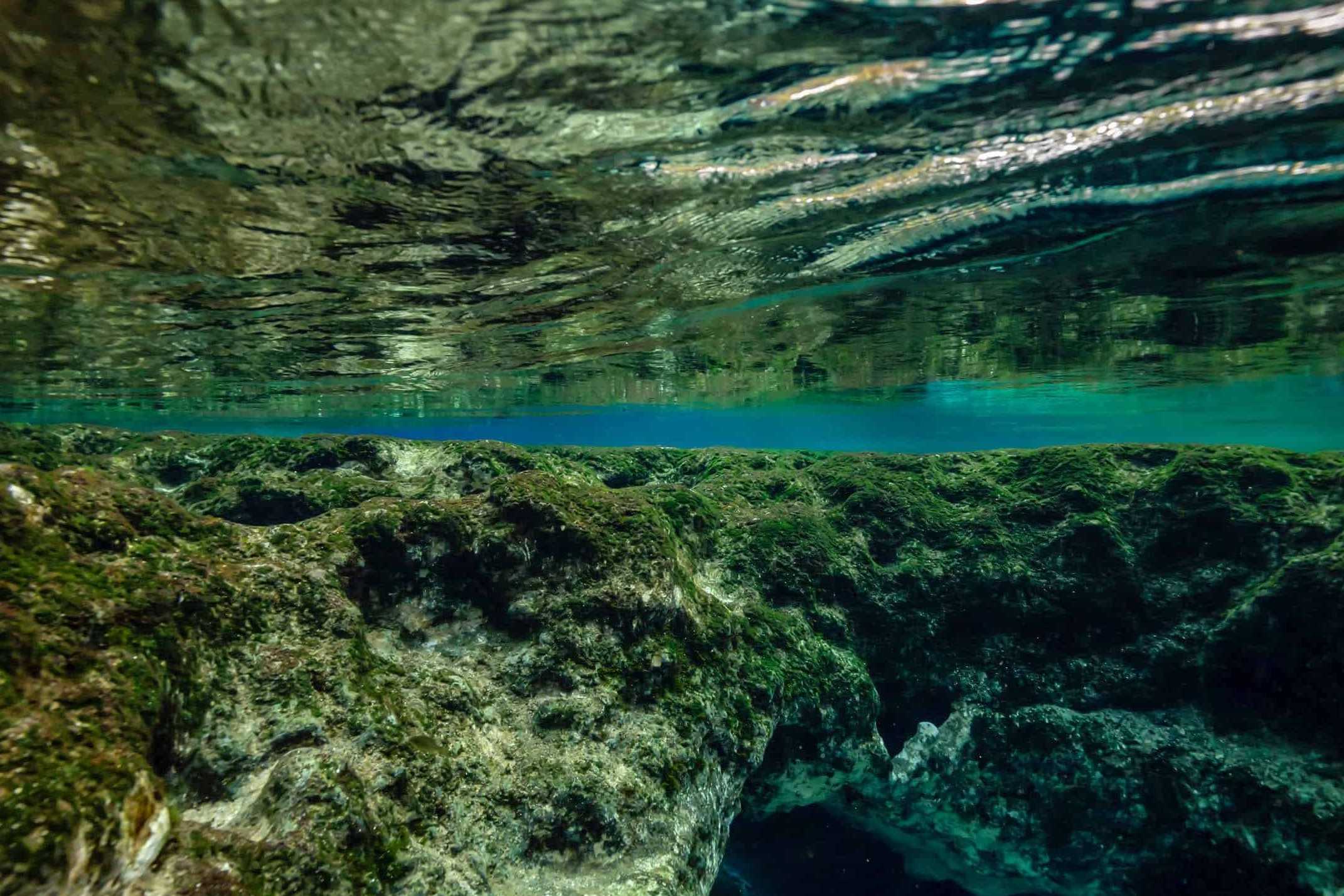 Hidden-Underwater-Springs-Of-Florida8217s-Panhandle hidden-underwater-springs-of-floridas-panhandle