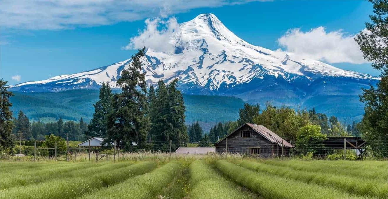 Hidden-Views-Of-Oregon8217s-Mount-Hood hidden-views-of-oregons-mount-hood