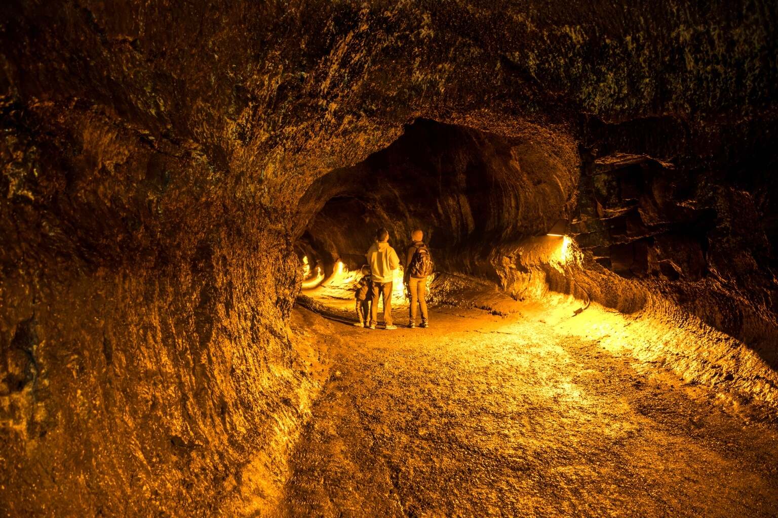 hidden-volcanic-tubes-in-hawaiis-kilauea-wilderness