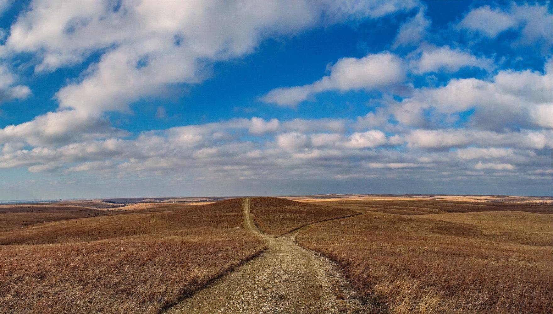 hidden-wagon-roads-of-kansass-tallgrass-prairie