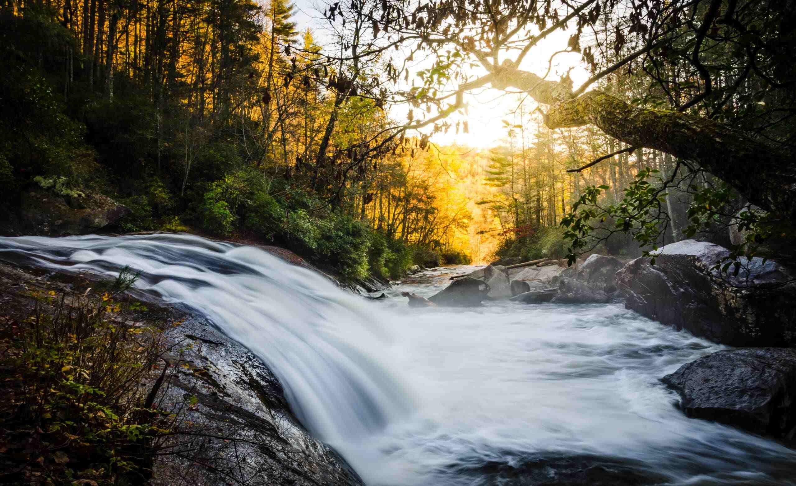 hidden-waterfalls-of-north-carolinas-gorges-state-park