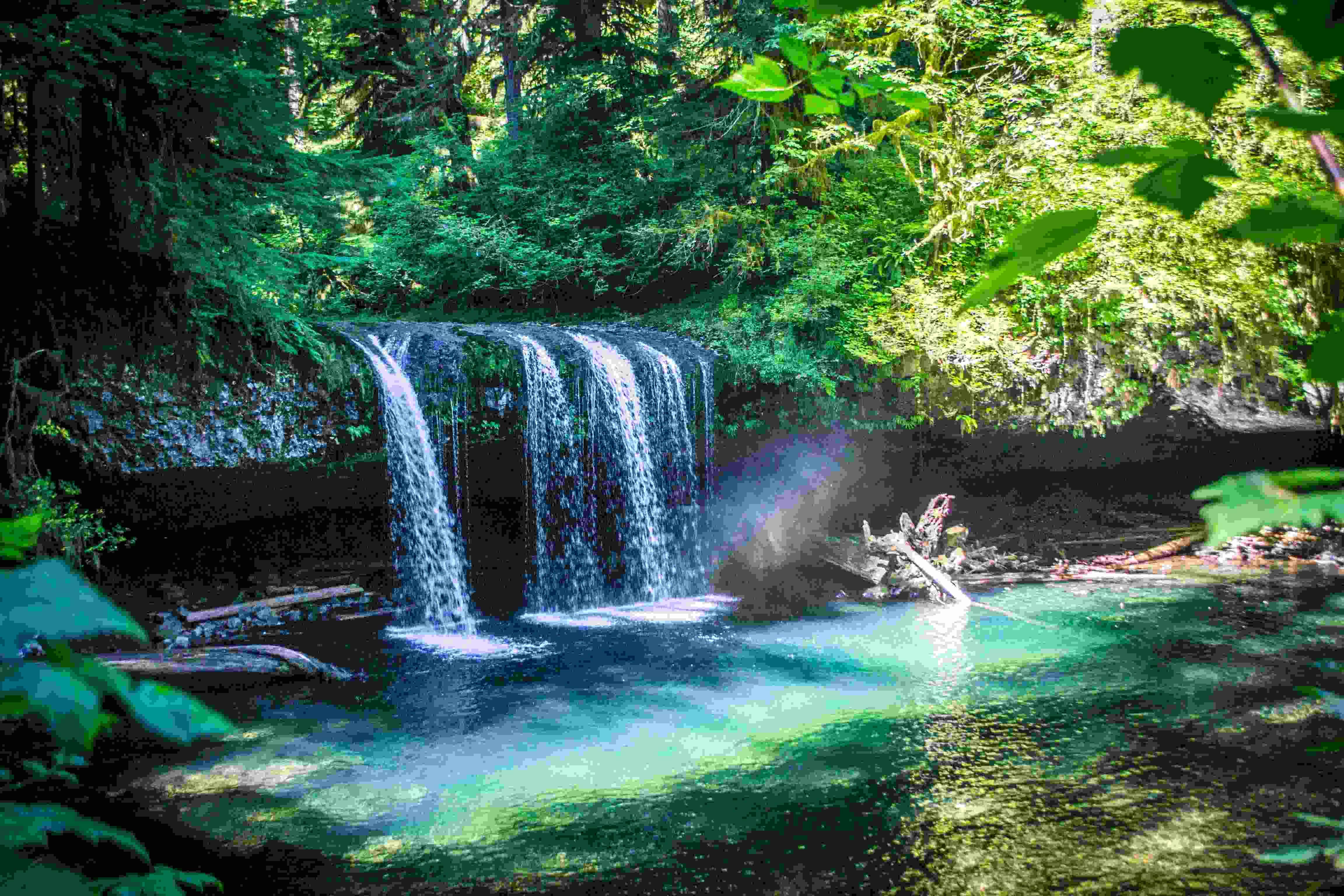 hidden-waterfalls-of-oregons-butte-creek-falls