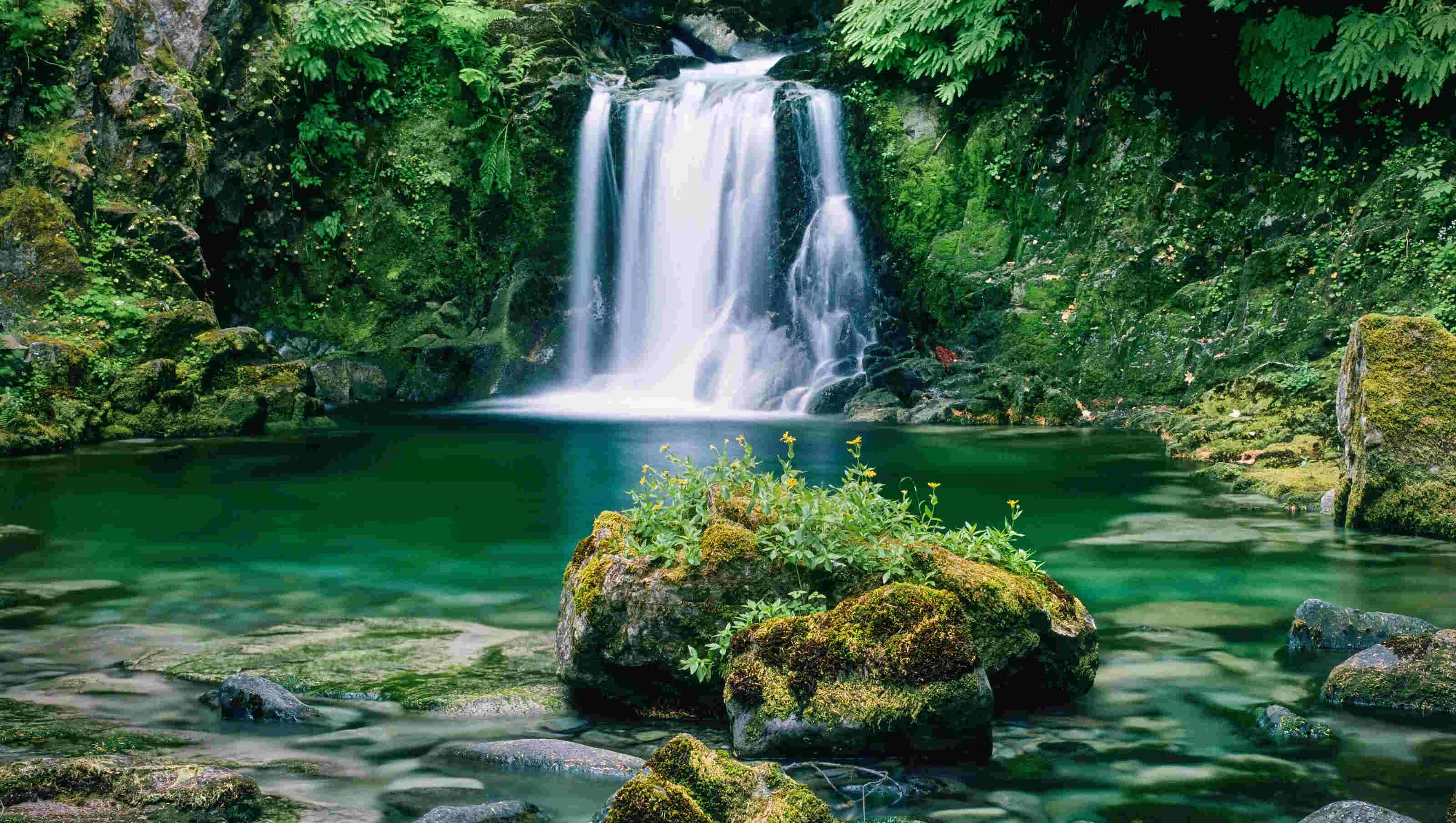 hidden-waterfalls-of-oregons-opal-creek