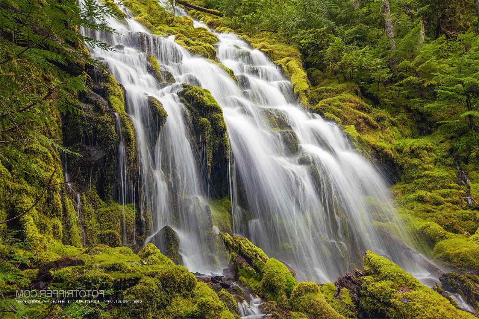 hidden-waterfalls-of-oregons-proxy-falls