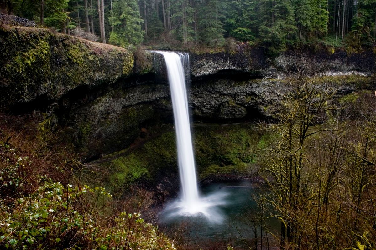 hidden-waterfalls-of-oregons-silver-falls