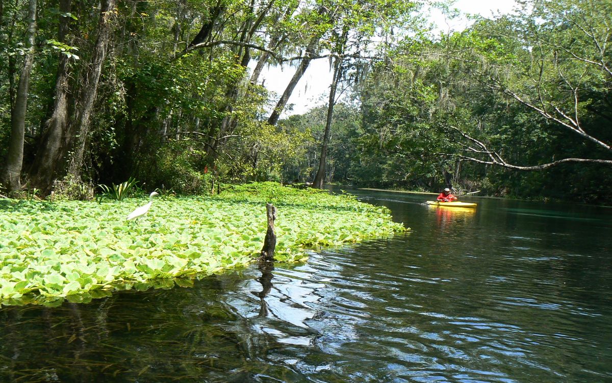 hidden-wonders-of-floridas-ichetucknee-river