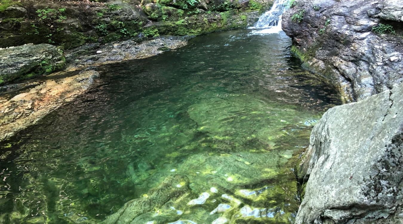 Maine8217s-Hidden-Emerald-Tidal-Pools maines-hidden-emerald-tidal-pools