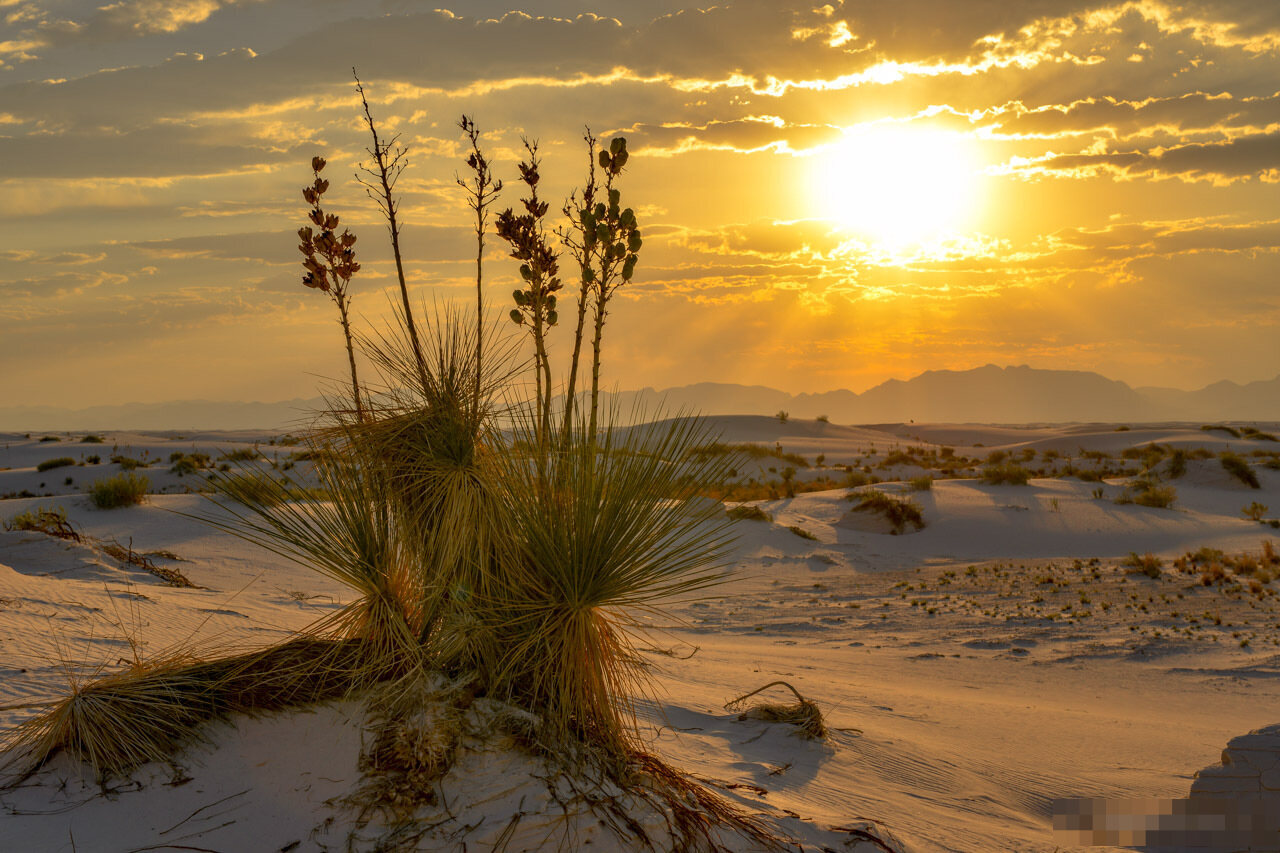 mysterious-desert-sunrises-at-new-mexicos-white-sands