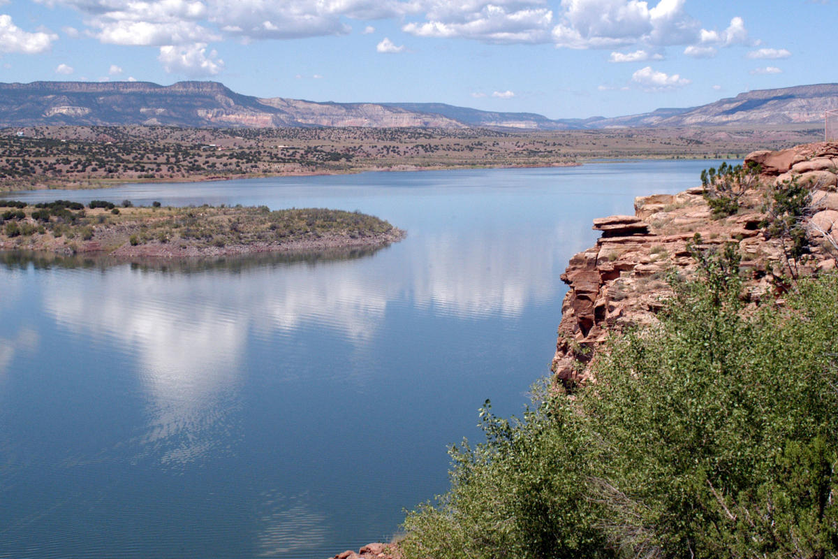 natural-dye-harvesting-secrets-in-abiquiu-new-mexico