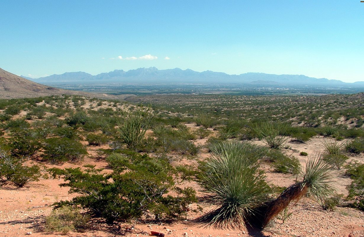 New-Mexico8217s-Hidden-Mountain-Valleys-And-Secret-Meadows-Await new-mexicos-hidden-mountain-valleys-and-secret-meadows-await