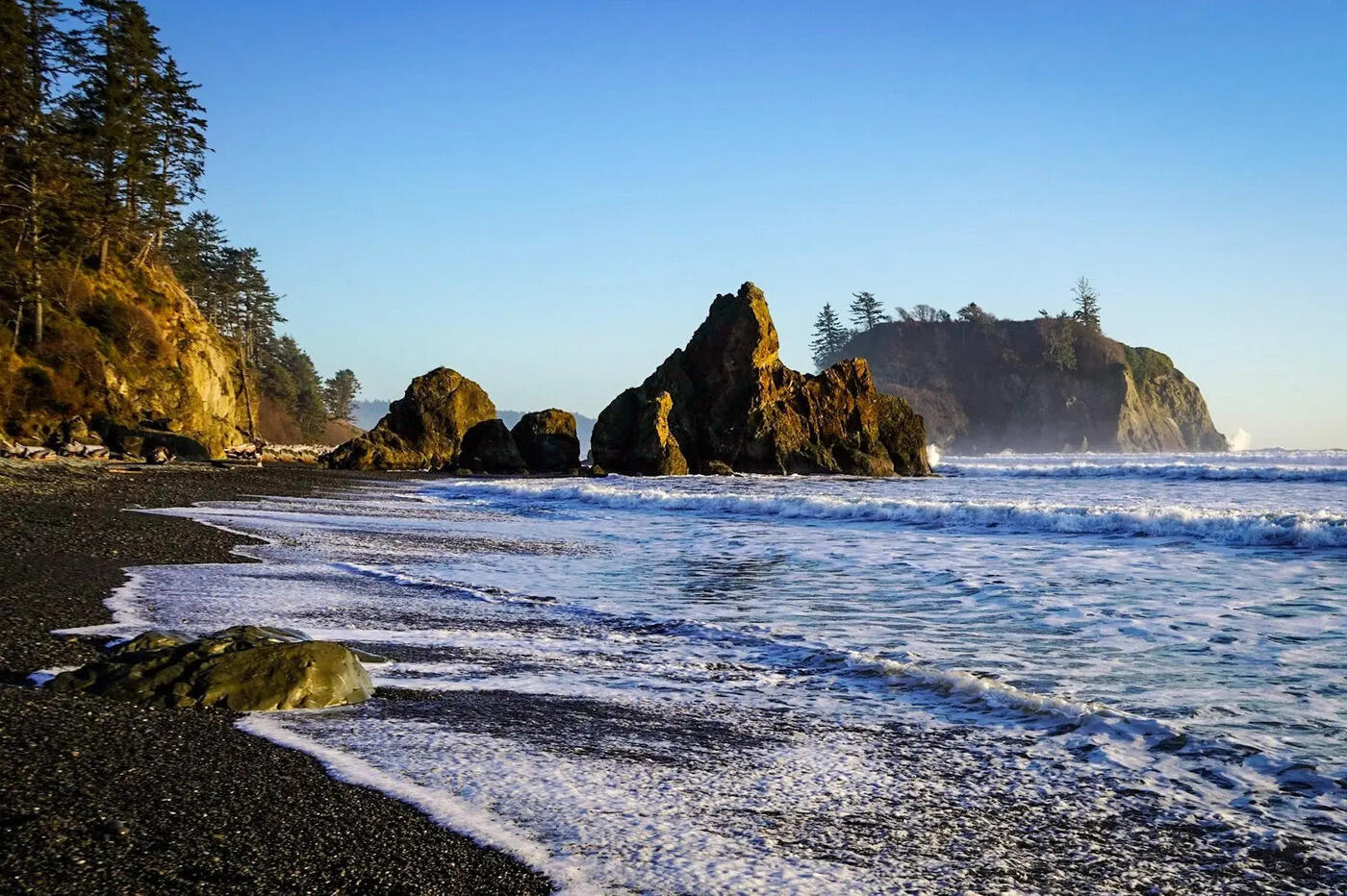 salmon-spawning-secrets-of-washingtons-olympic-peninsula