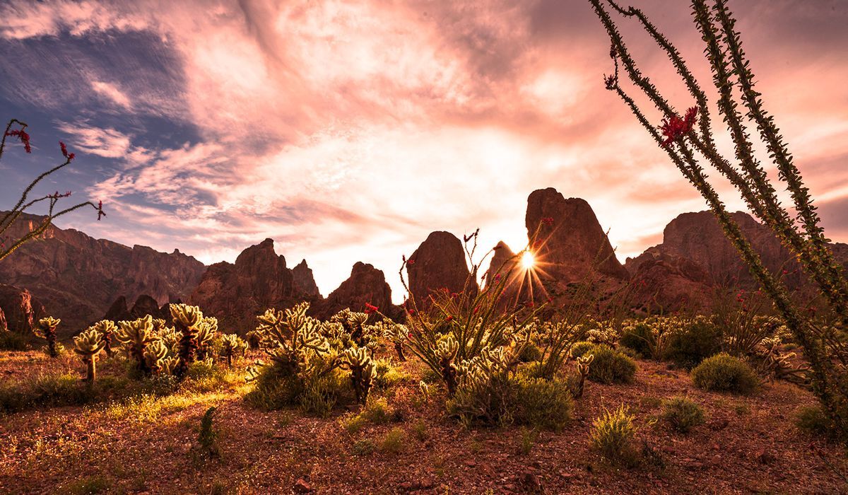 secret-oases-in-arizonas-kofa-mountains