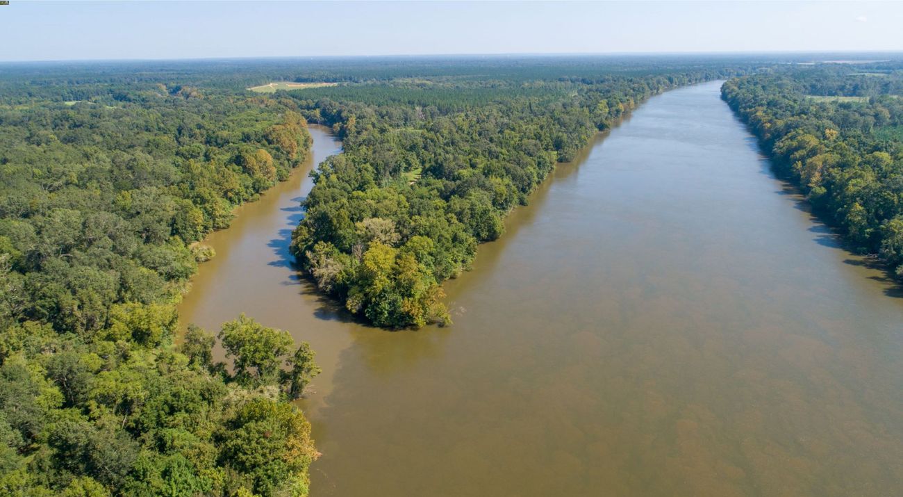 secret-wildlife-havens-in-arkansass-mississippi-delta