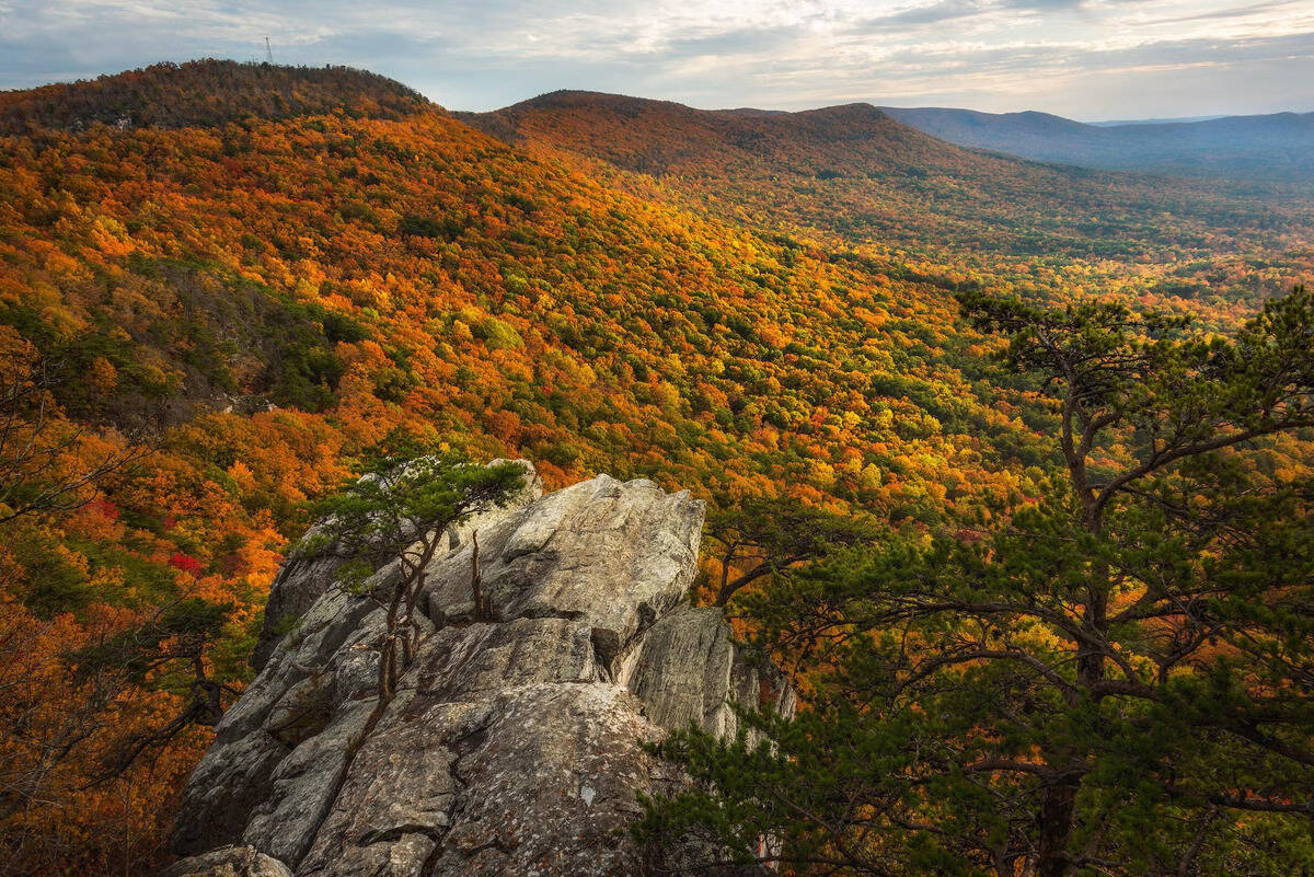 Secrets-Of-Alabama8217s-Cheaha-Forest-Hollows secrets-of-alabamas-cheaha-forest-hollows