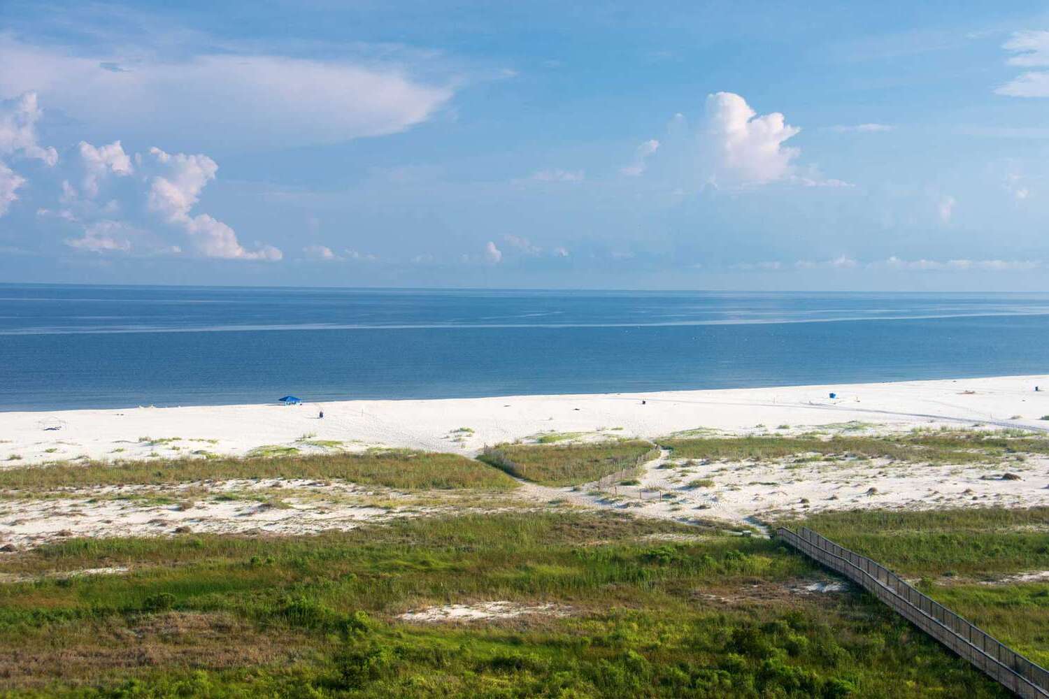 Secrets-Of-Alabama8217s-Dauphin-Island-Coastal-Islands secrets-of-alabamas-dauphin-island-coastal-islands