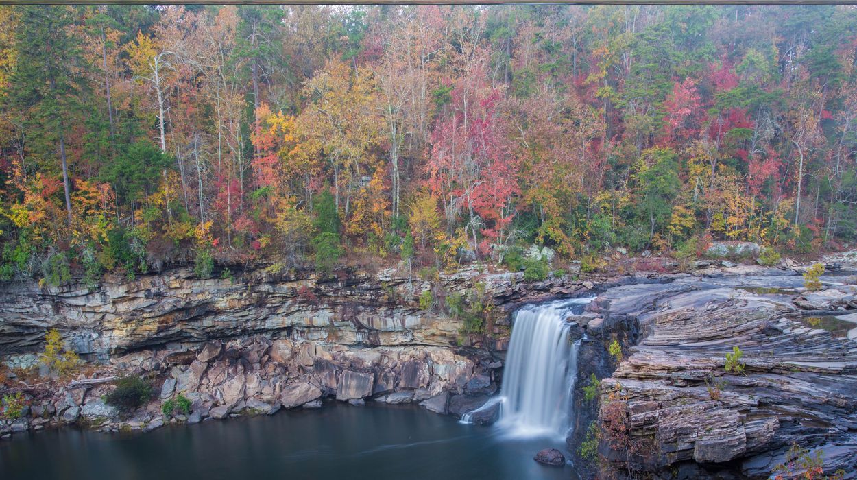 Secrets-Of-Alabama8217s-Little-River-Forest-Hollows secrets-of-alabamas-little-river-forest-hollows