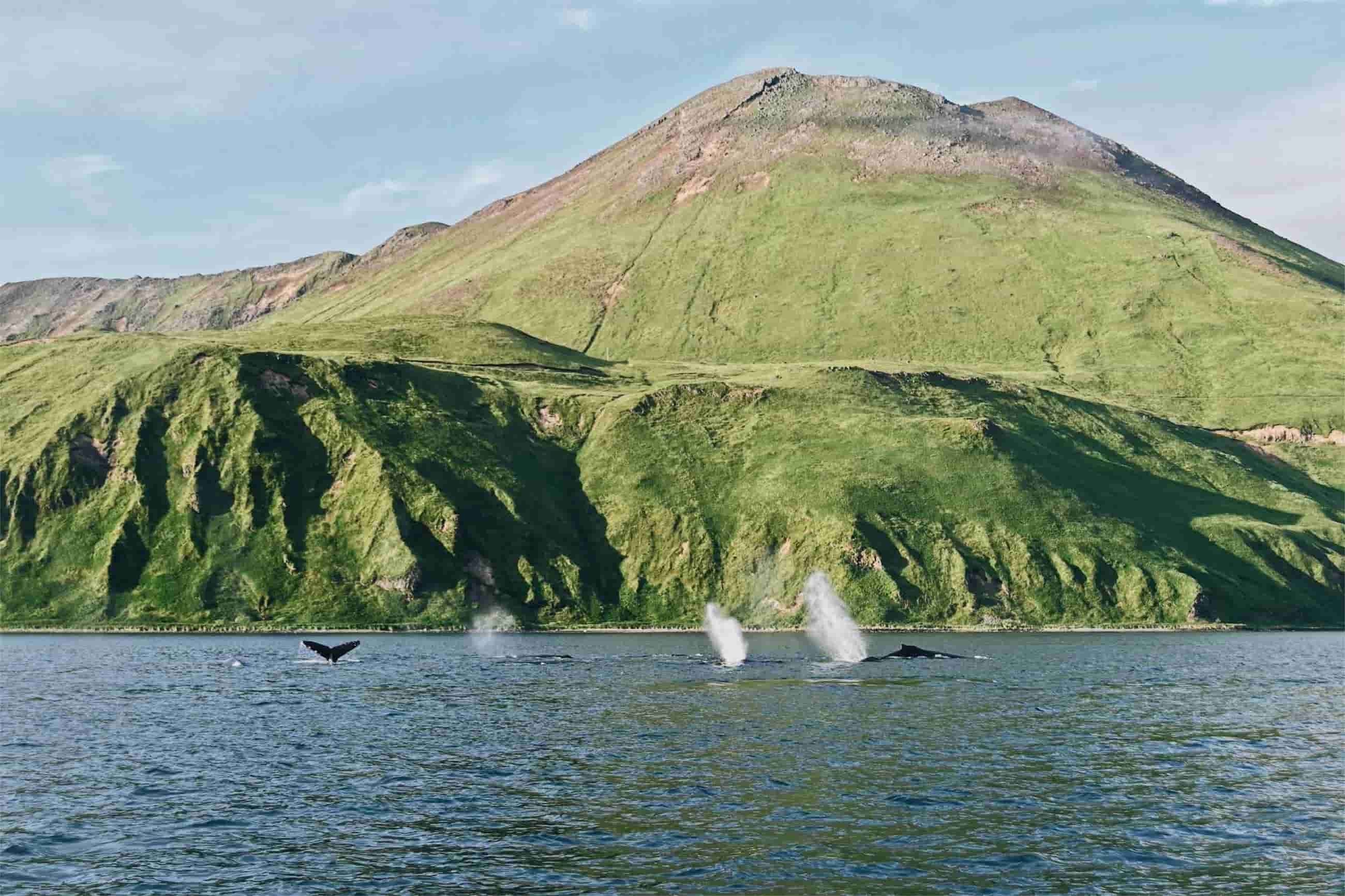 Secrets-Of-Alaska8217s-Aleutian-Islands-Whaling-Stations secrets-of-alaskas-aleutian-islands-whaling-stations