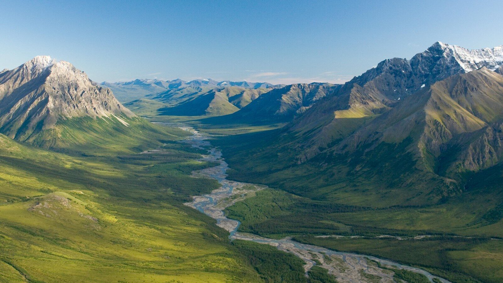 Secrets-Of-Alaska8217s-Ancient-Forest-Groves-Gates-Of-The-Arctic secrets-of-alaskas-ancient-forest-groves-gates-of-the-arctic