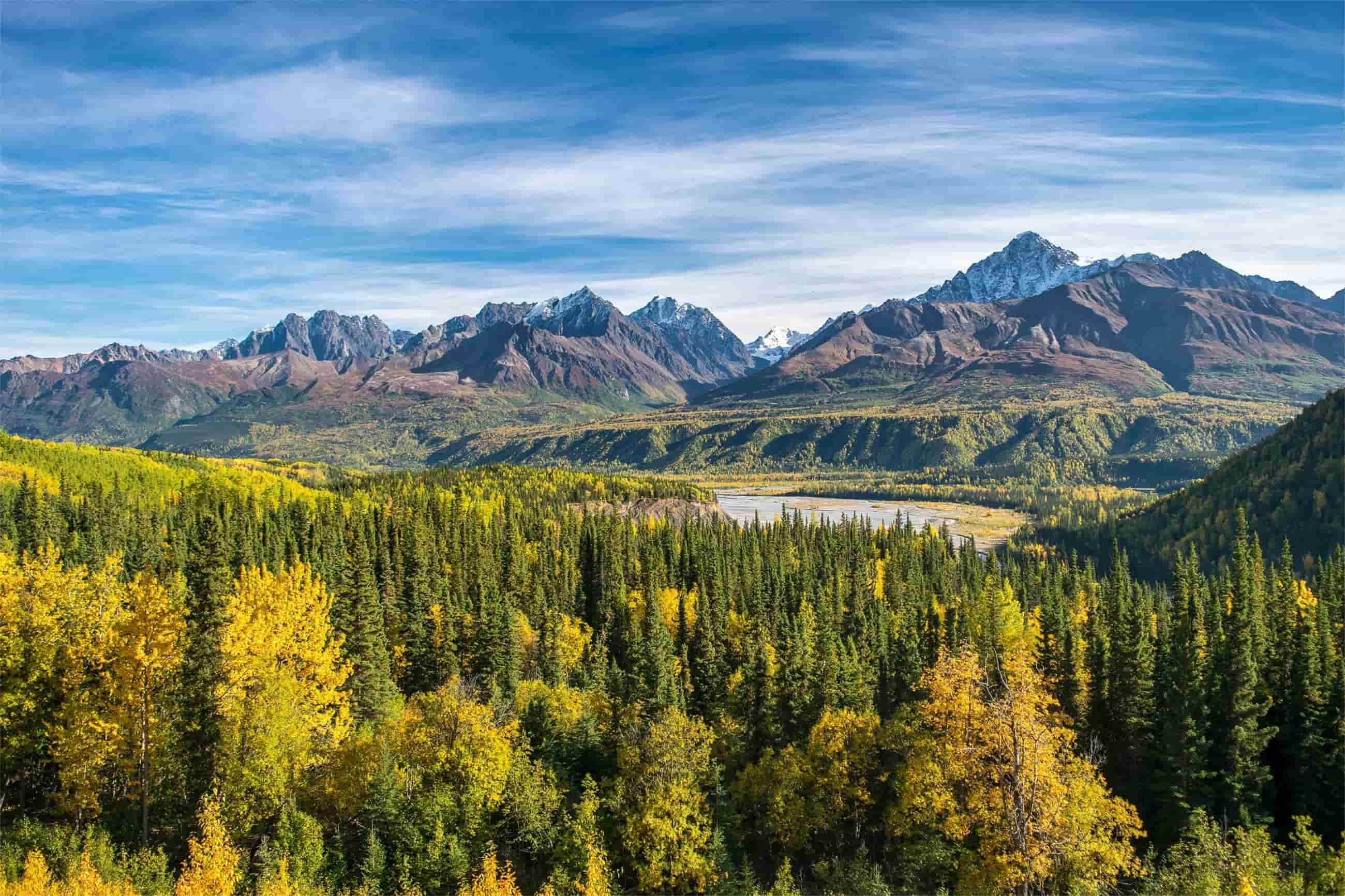 Secrets-Of-Alaska8217s-Ancient-Forest-Groves-Wrangle-St-Elias secrets-of-alaskas-ancient-forest-groves-wrangle-st-elias