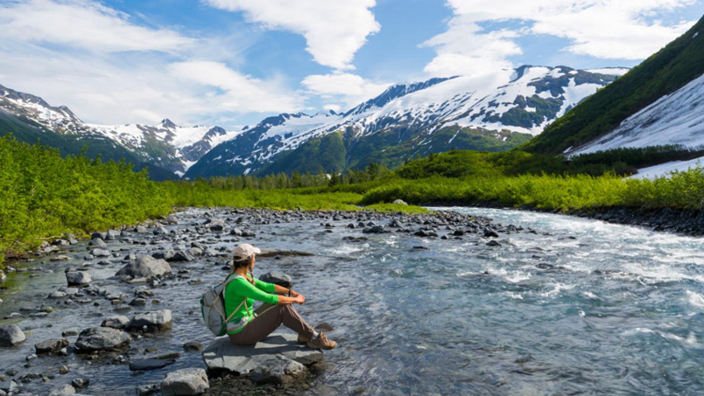 Secrets-Of-Alaska8217s-Chugach-Range-Forests secrets-of-alaskas-chugach-range-forests
