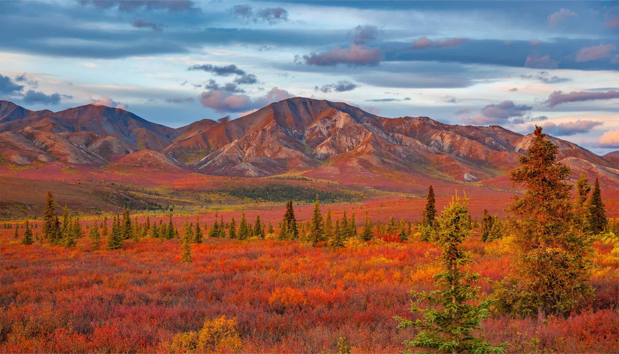 Secrets-Of-Alaska8217s-Denali-National-Park-Tundra-Landscapes secrets-of-alaskas-denali-national-park-tundra-landscapes