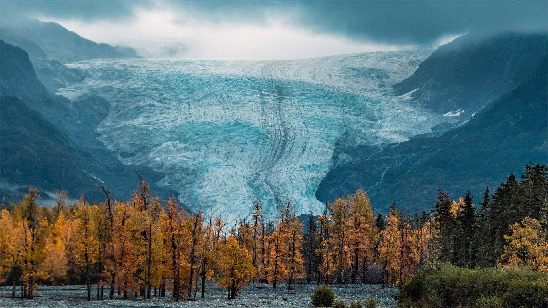 Secrets-Of-Alaska8217s-Kenai-Fjords-Glacier-Valleys secrets-of-alaskas-kenai-fjords-glacier-valleys