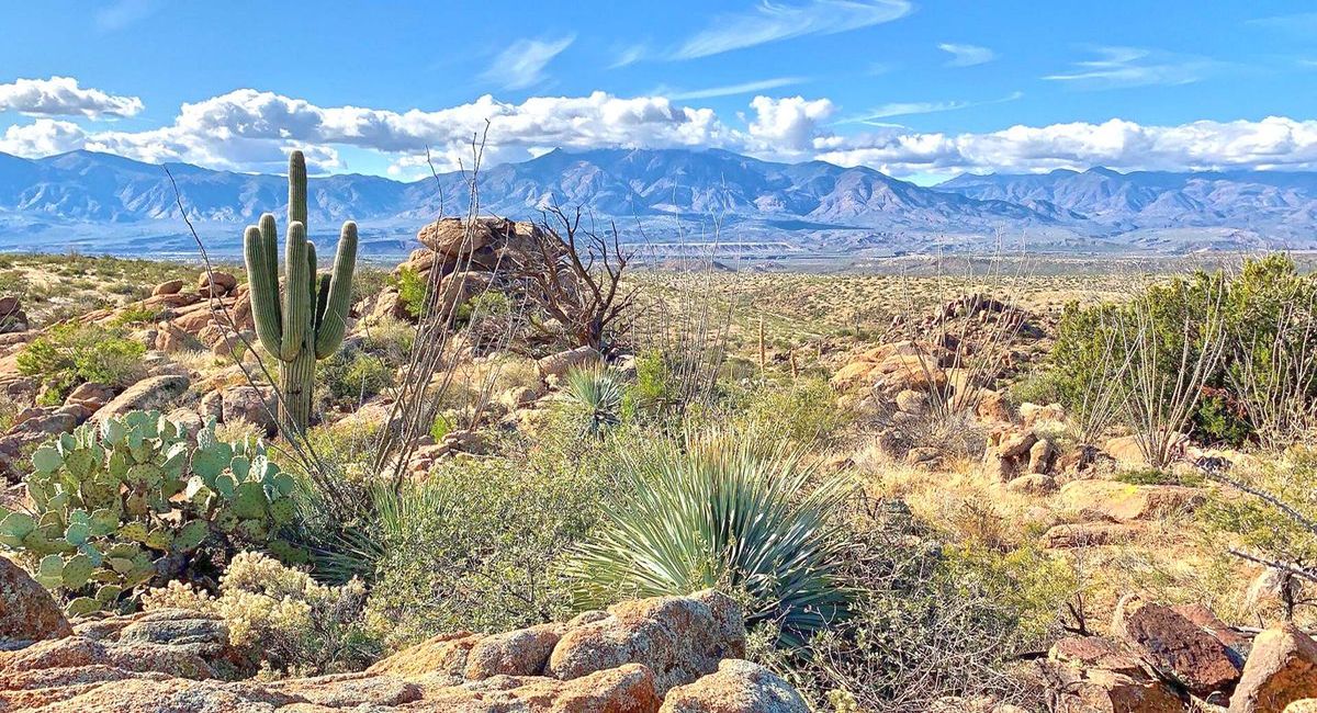 secrets-of-arizonas-ancient-indigenous-gardens