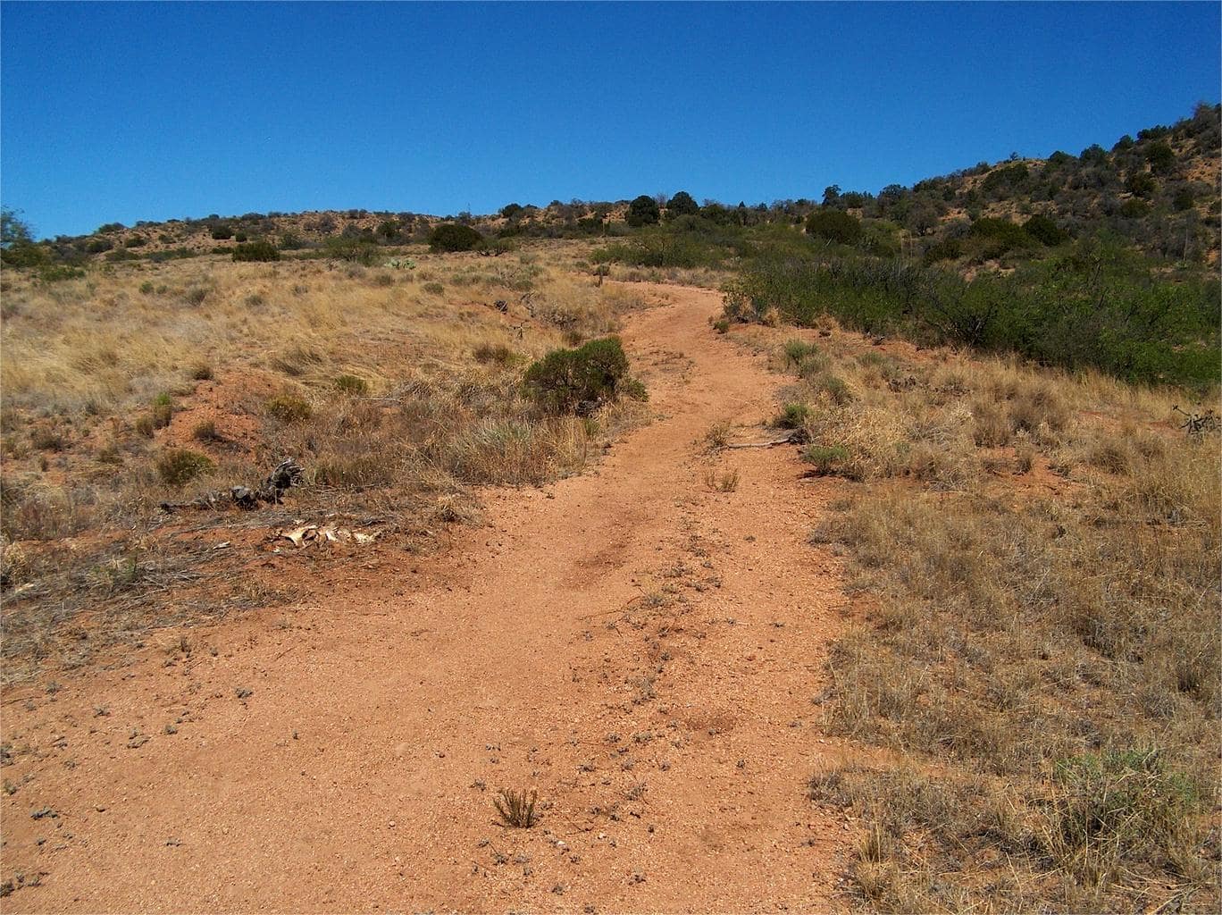 secrets-of-arizonas-butterfield-overland-mail-routes