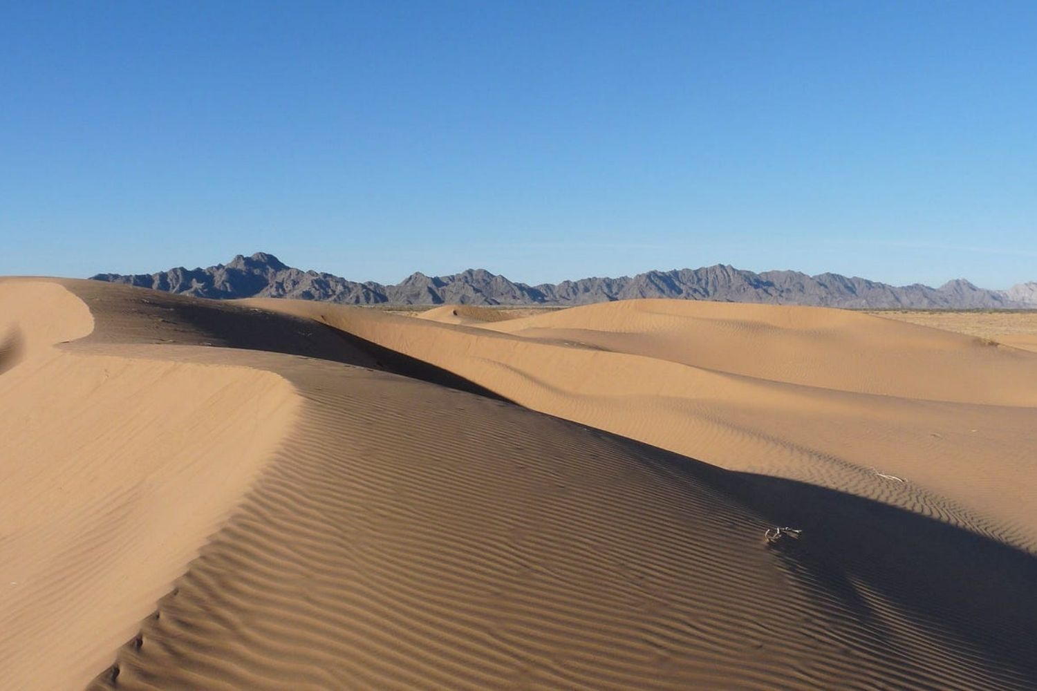 secrets-of-arizonas-cabeza-prieta-desert-washes