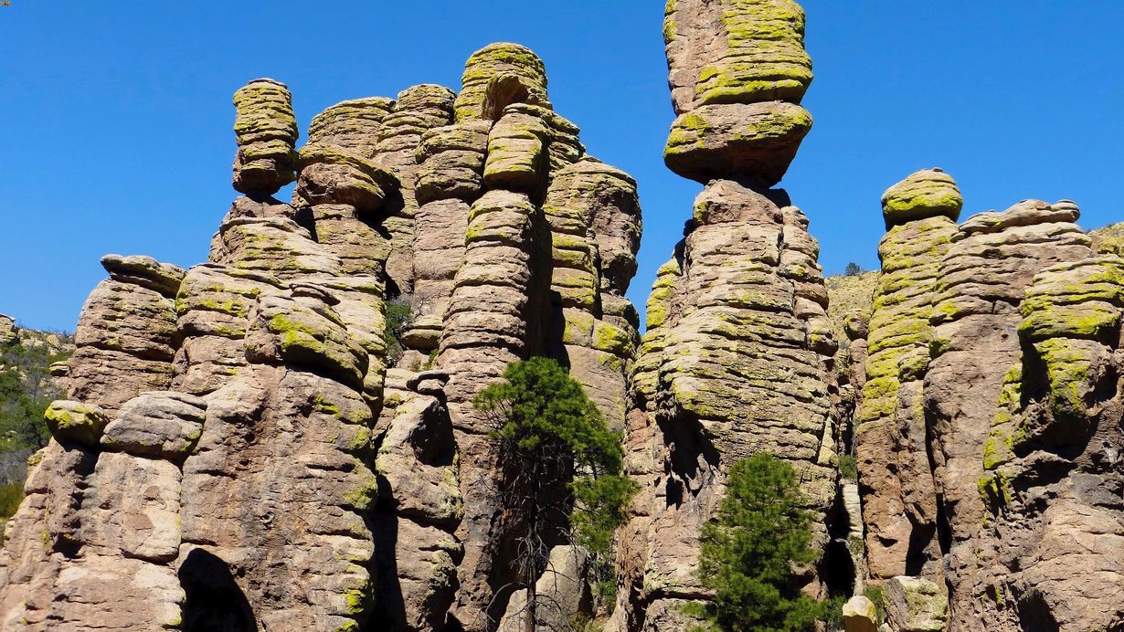 secrets-of-arizonas-chiricahua-mountains-rock-gardens