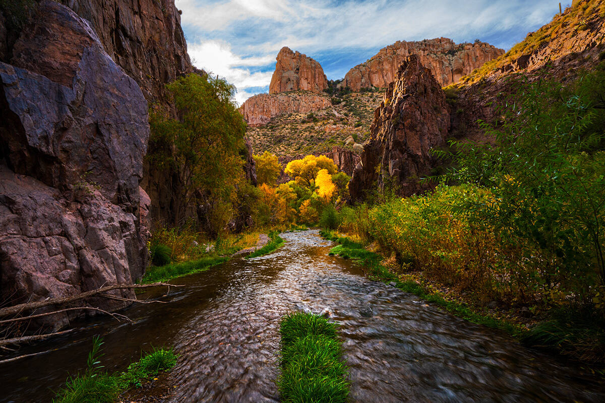 secrets-of-arizonas-desert-oases-and-palm-canyons