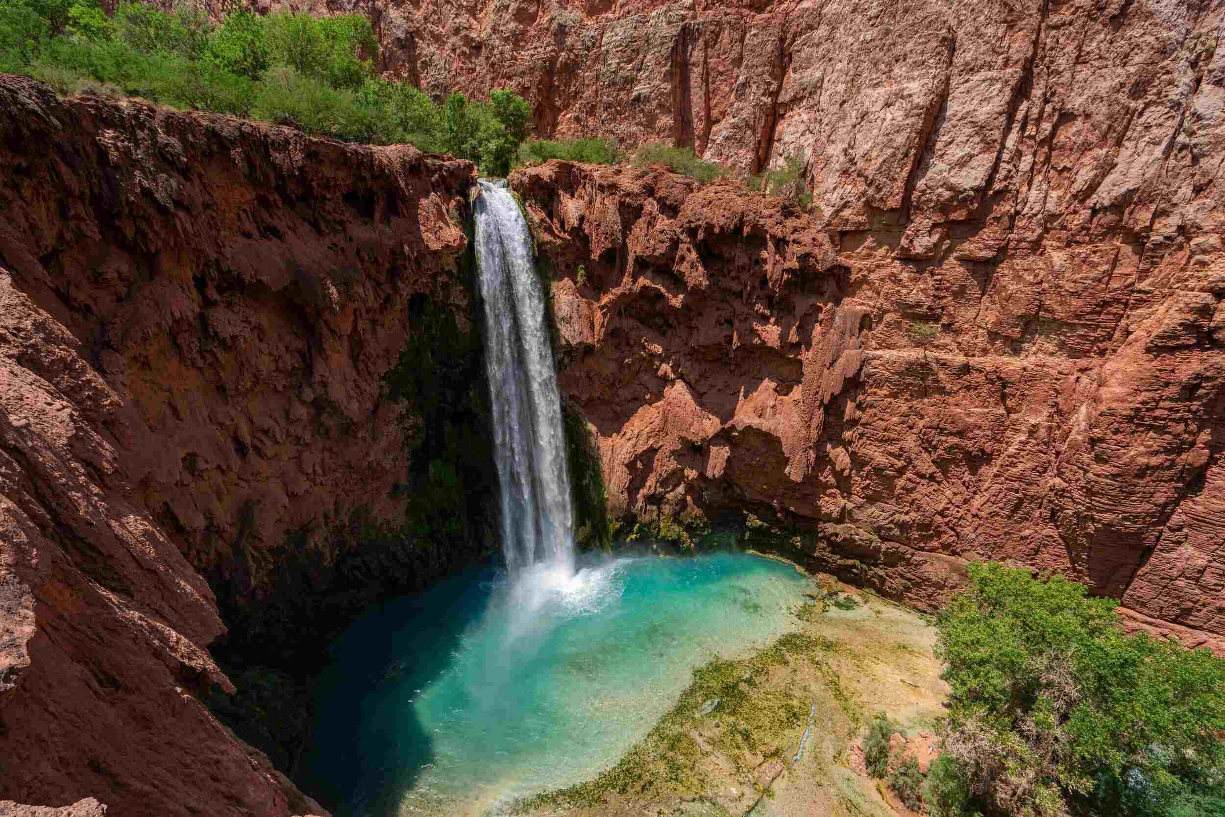 secrets-of-arizonas-havasu-canyon-springs