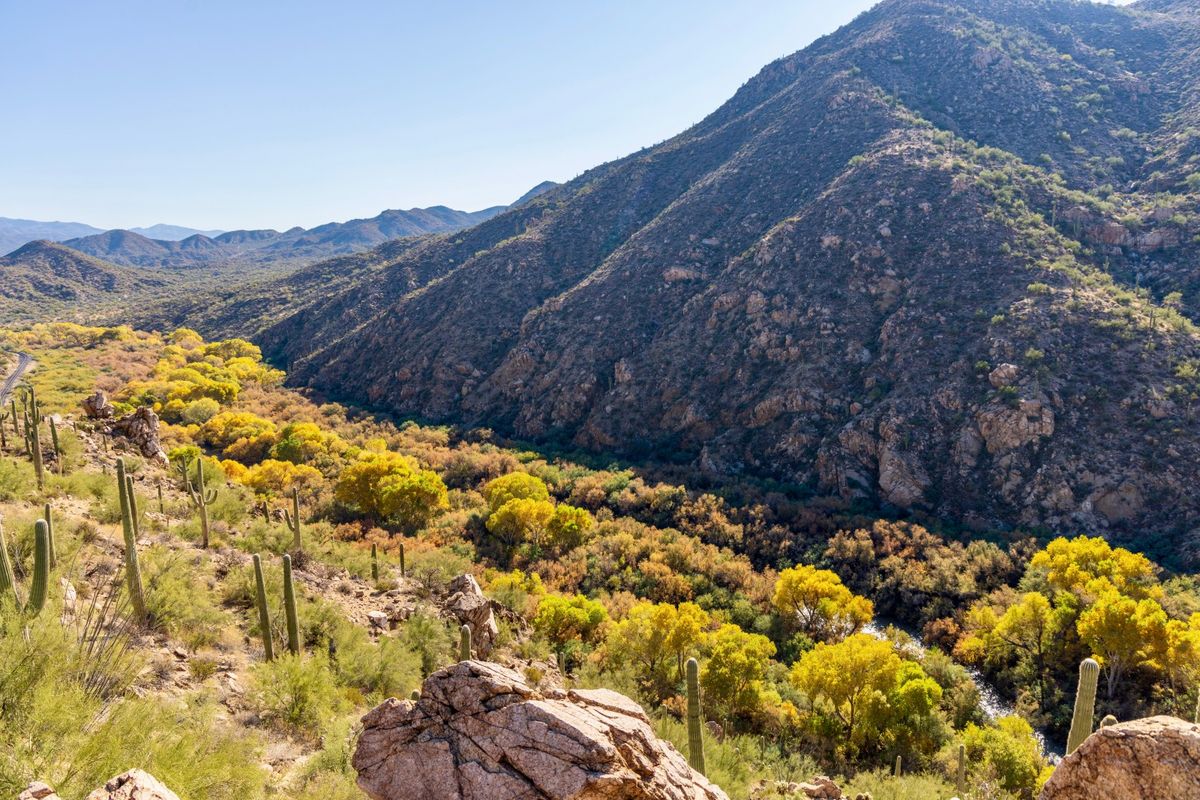 secrets-of-arizonas-palatkwabi-trail