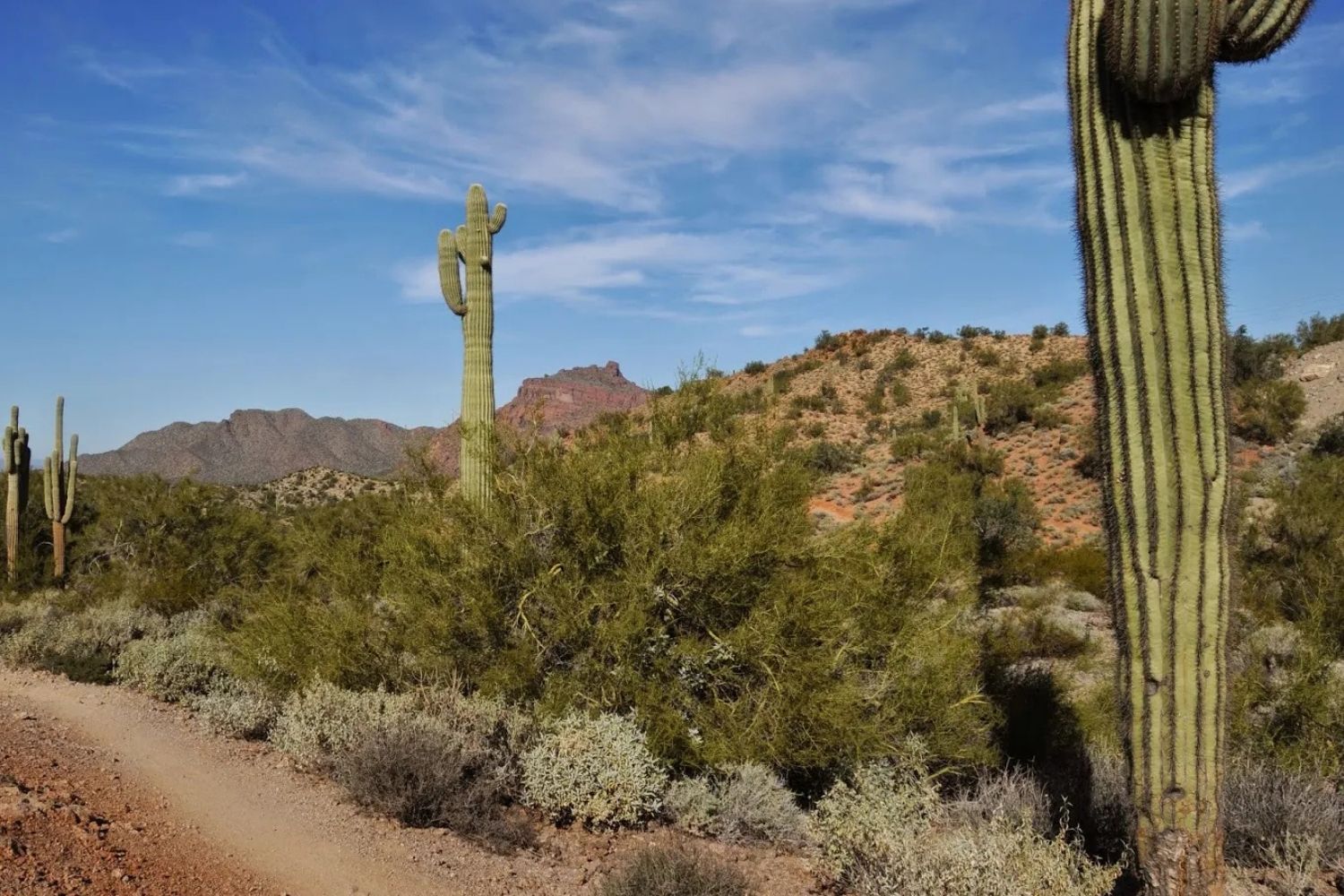 secrets-of-arizonas-sonoran-trail-trading-routes