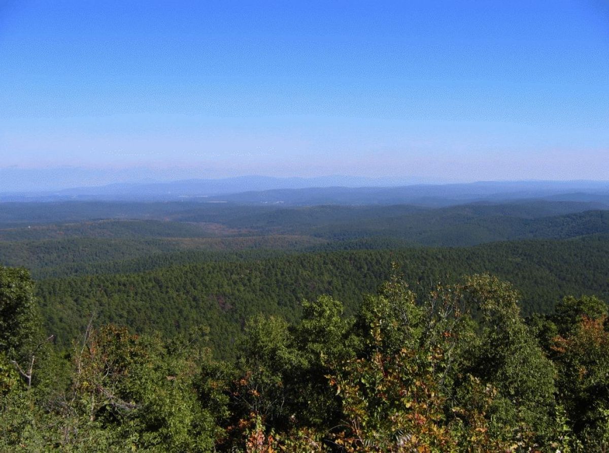Secrets-Of-Arkansas8217s-Ouachita-National-Forest secrets-of-arkansass-ouachita-national-forest