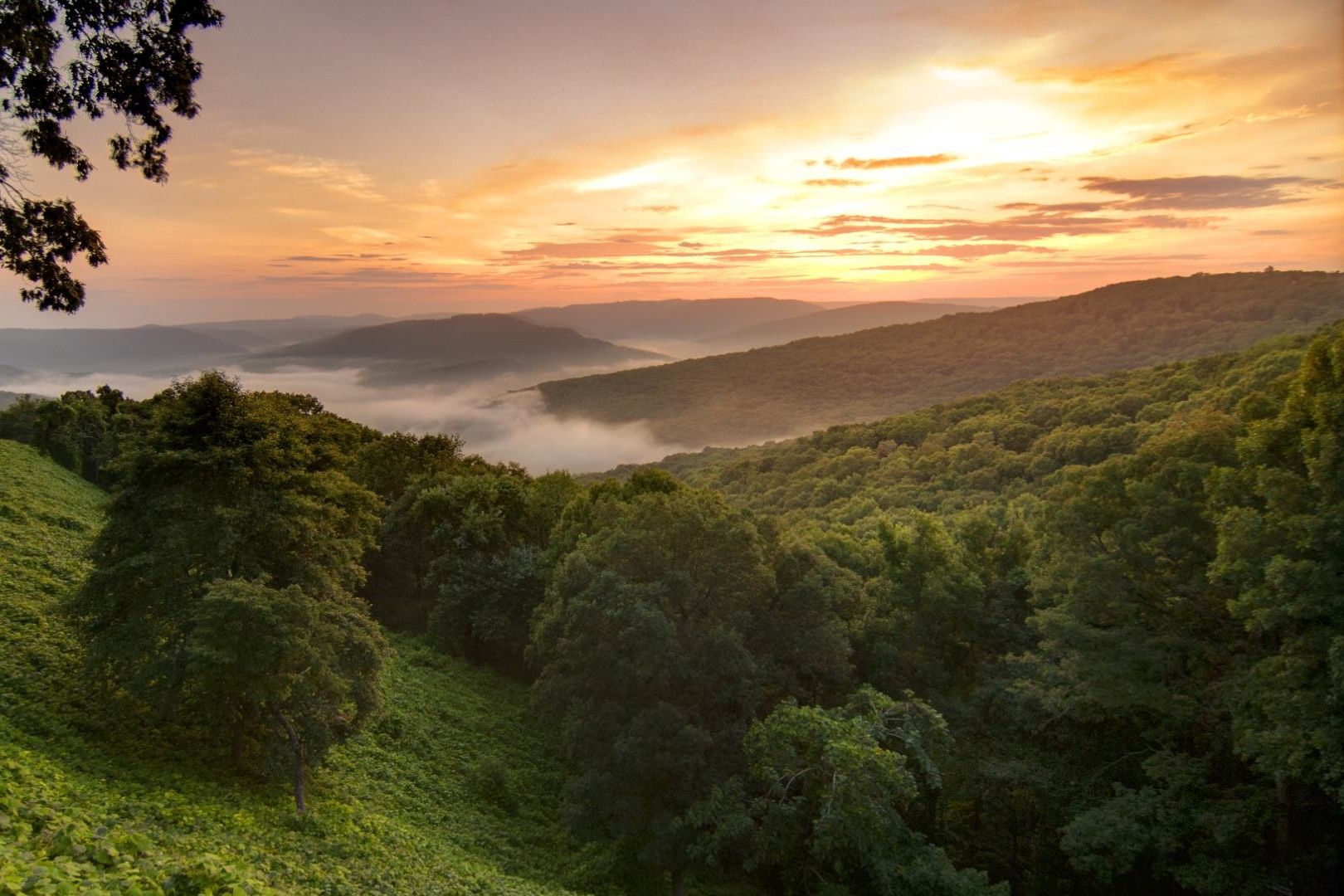 Secrets-Of-Arkansas8217s-Ozark-Highlands-Plateaus secrets-of-arkansass-ozark-highlands-plateaus