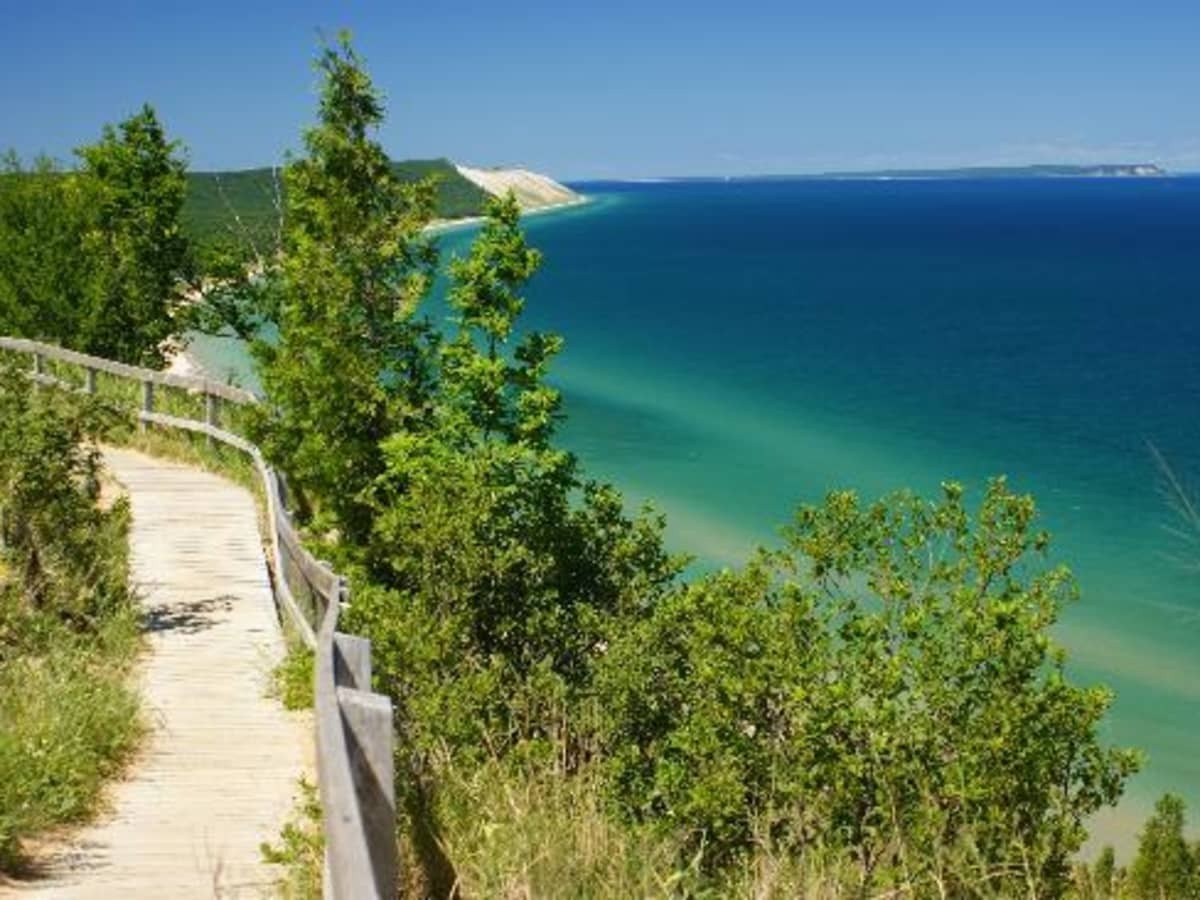 Secrets-Of-Beekeeping-In-Michigan8217s-Leelanau-Peninsula secrets-of-beekeeping-in-michigans-leelanau-peninsula