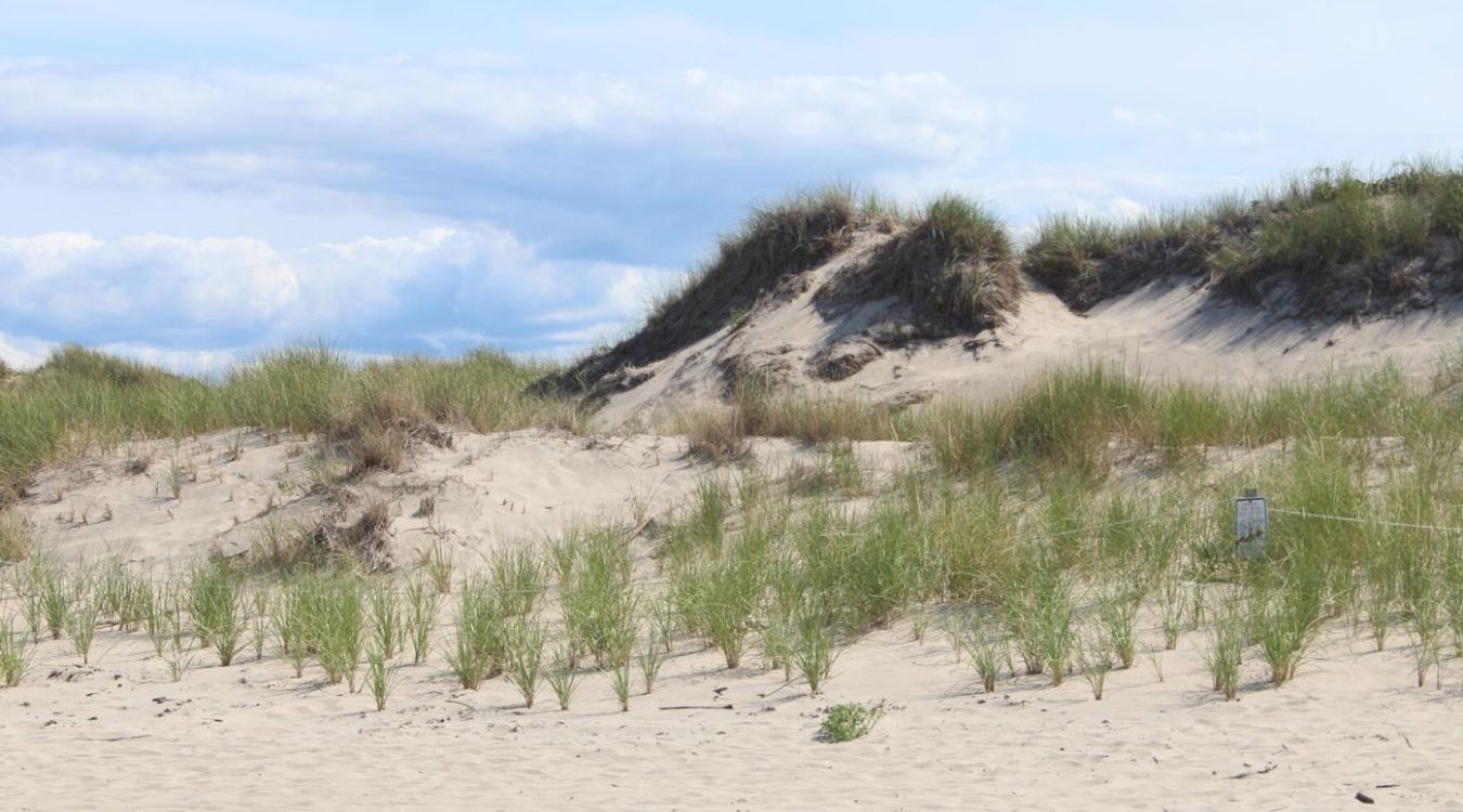 Secrets-Of-Block-Island8217s-Coastal-Dunes secrets-of-block-islands-coastal-dunes