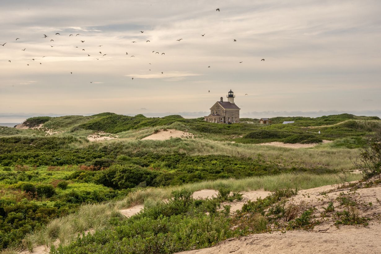 Secrets-Of-Block-Island8217s-Wild-Coastal-Dunes secrets-of-block-islands-wild-coastal-dunes
