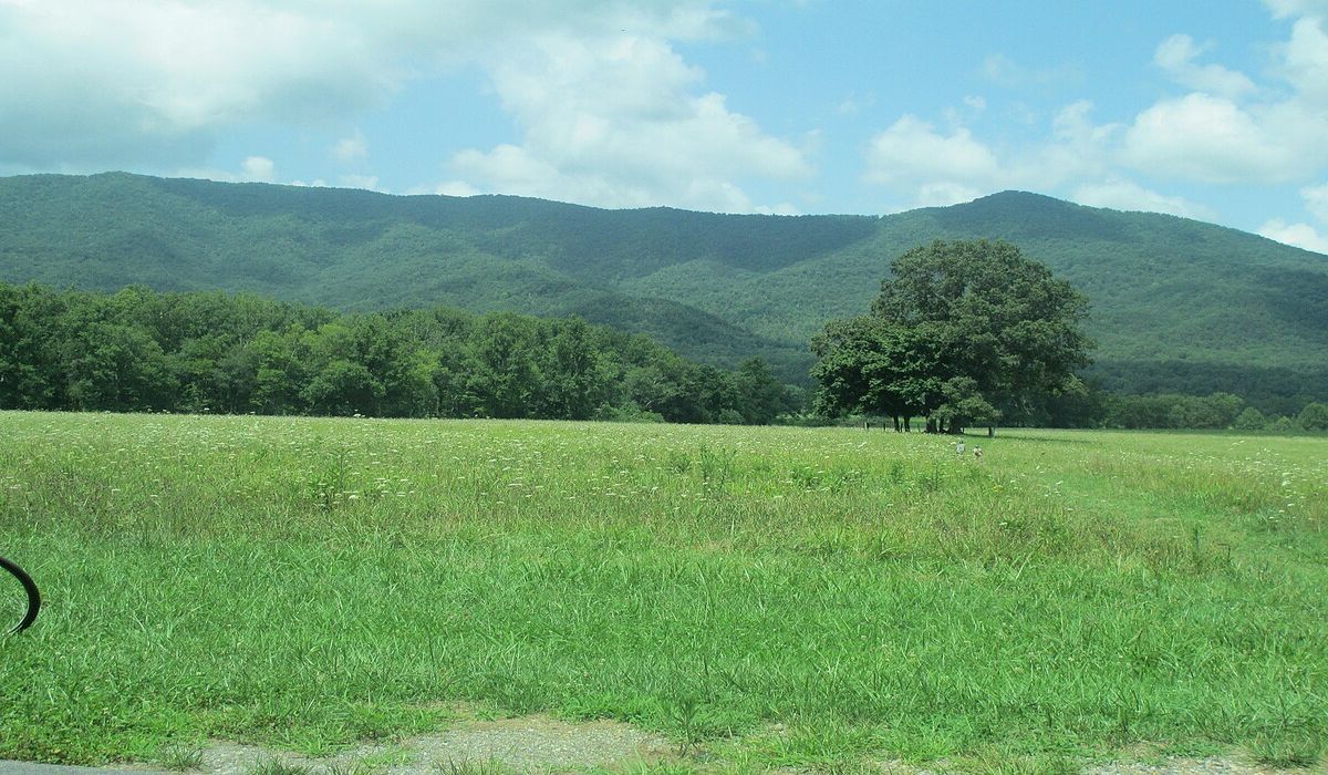 secrets-of-cades-coves-mountain-springs