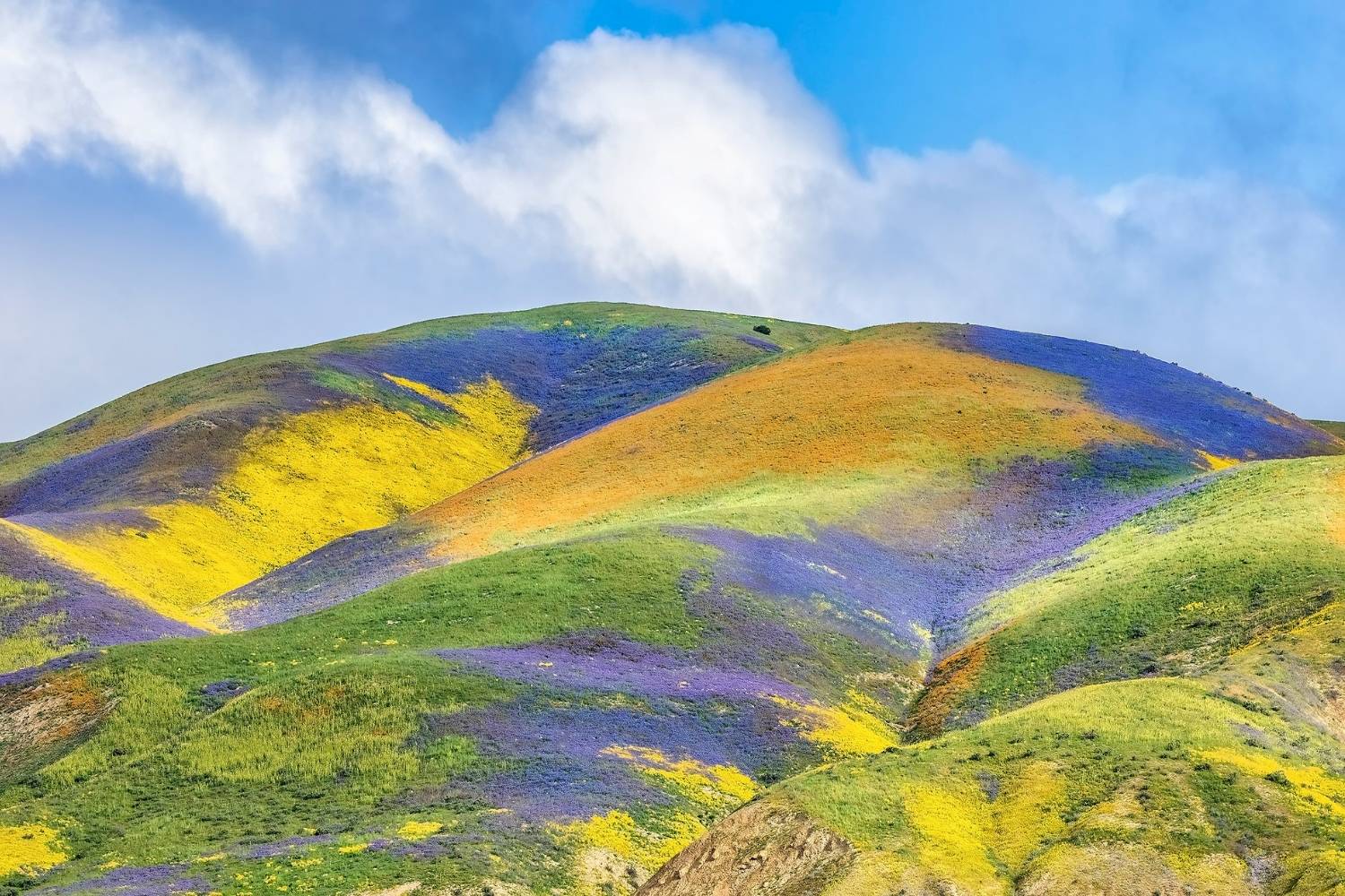 secrets-of-californias-carrizo-plain-stone-circles