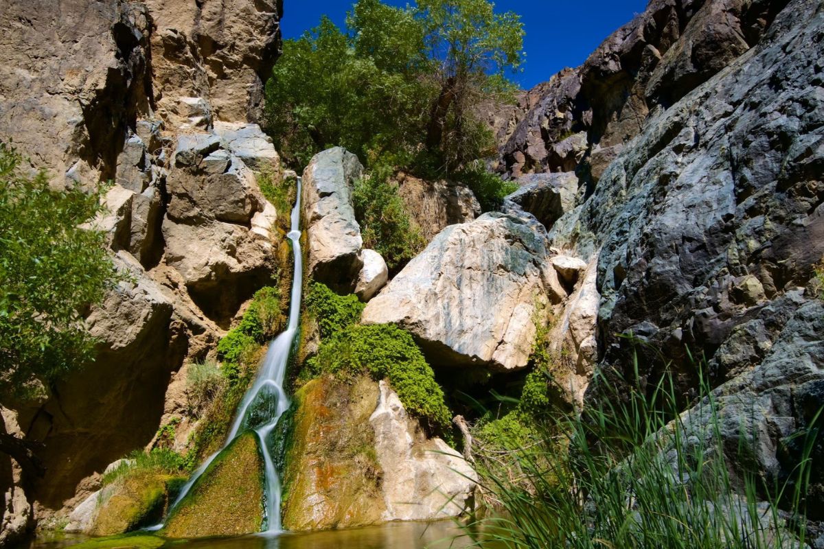 secrets-of-californias-darwin-falls-oases